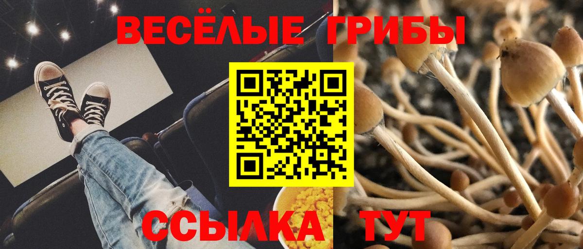 Галлюциногенные грибы мухоморы  Вход с VPN  Пугачёв 