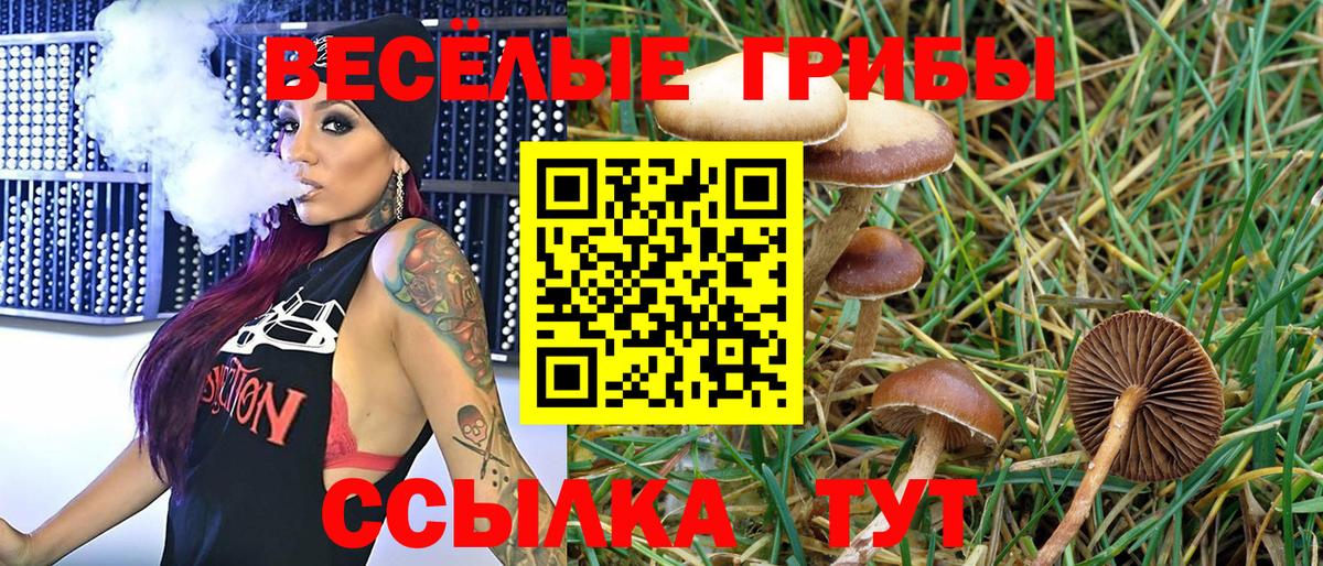 Галлюциногенные грибы Cubensis Пугачёв